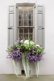Boxes Of Charleston Garten In 2020 Window Box Flowers Gorgeous Window Boxes Window Boxes Diy