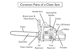 Image Result For Parts Of A Chainsaw Chainsaw Safety Guide Bar Oil