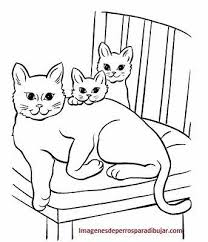 Tiernos Gatitos Para Colorear E Imprimir Crafts Diy And Ideas Blog Como dibujar y colorear los para ninos. tiernos gatitos para colorear e