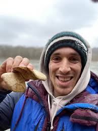 Oyster mushrooms found