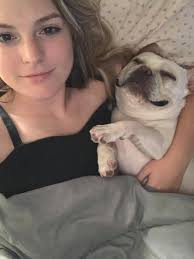 Goodbye to beloved French Bulldog potato