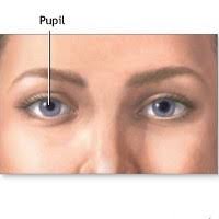 Maybe you would like to learn more about one of these? Bila Ukuran Pupil Mata Tidak Sama