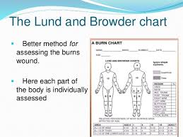 Pathophysiology Of Burns