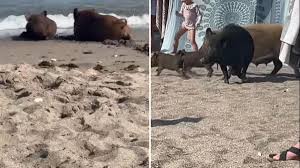 Ada onlyfans that slender lady is equal parts prettiness