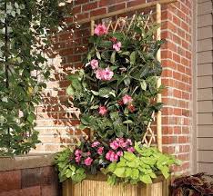 There are few other plants that provide such an elegant screen for unsightly views while requiring very little. 24 Spectacular Diy Bamboo Projects Uses In Garden Balcony Garden Web