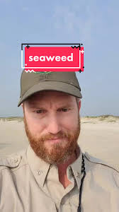 Port Aransas Tx Spring Break 2023 Marker 32