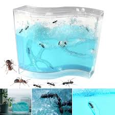 Antworks is a green pest control that is safe for you and your family. New Blue Gel Ant Farm Antworks Ant Home Antworkshop Educational Toy An88 Gags Practical Jokes Aliexpress
