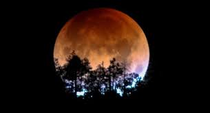 Full moon july 2019 brings intense emotional lunar eclipse july 2019 is also square the dwarf planet eris which will reenergize the #metoo movement. Blood Moon May 26 Schedule How To Watch And Photograph Knowinsiders