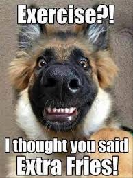 Funny Animal Pictures Of The Day 36 Pics Funny Animal Memes Animal Jokes Funny Animal Quotes