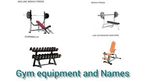 gym equipment and names