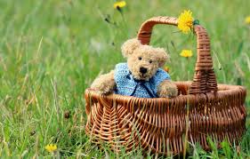 Free shipping for many items! Wallpaper Summer Grass Mood Glade Toy Spring Yellow Bear Bear Bear Flowers Basket Teddy Mishutka Images For Desktop Section Raznoe Download