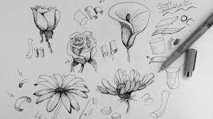 Ink in all the gaps between the keys. Pen Ink Drawing Tutorial How To Draw Flowers Part 1