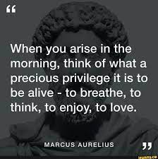 When You Arise In The Morning Think Of What A Precious Privilege It Is To Be Alive To Breathe To Think To Enjoy To Love Marcus Aurelius