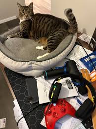 Todd Halvorson (@perthglassguru) • Instagram photos and videos