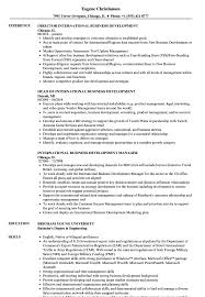 Sample resume for abroad application. International Business Development Resume Samples Velvet Jobs