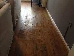 Pin On When Homes Go Wrong