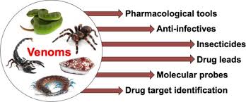 My vet has had no further recommendations beyond if it does not improved eventually we may have to. Animal Toxins Nature S Evolutionary Refined Toolkit For Basic Research And Drug Discovery Abstract Europe Pmc