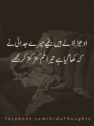 Pin By Aqsa Ali On Poetry Urdu Poetry Urdu Words Deep Words
