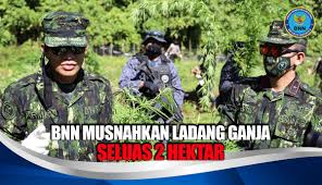 Info penerimaan pegawai bnn aceh : Bnn Ri Infobnn Twitter