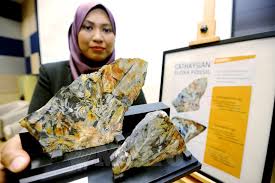 Graduan aspire virtual career fair 2021. Ekspedisi Buru Fosil Di Terengganu Jabatan Mineral Dan Geosains Malaysia