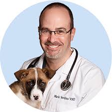 Meet our Senior Management Team