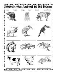 This category contains all habitat animals. Match The Animals To Their Habitat Worksheets