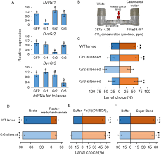 Hometeam pest defense was established in 1996 with headquarters in dallas, texas. Plant Derived Co2 Mediates Long Distance Host Location And Quality Assessment By A Root Herbivore Biorxiv