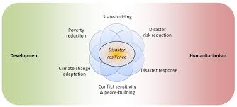 Benefits Of Disaster Resilience Gsdrc