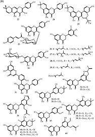 Image result for Ptycholobium contortum