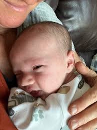 ROSES ARE IN BLOOM!! We have the most beautiful roses, and we have so many…  we are selling them!!! Message me if you are interested and for more  details about colors or