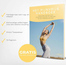 Bol Com Comfycentre Ergonomische Rugsteun En Neksteun Auto Rugkussen En Nekkussen Voor