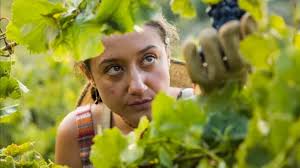 Under the Vines" Episode #2.2 (TV Episode 2023)