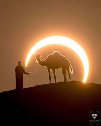 The story is set in arabia, when the world was new and camels did not have humps. Photographer Shoots A Stunning Photograph That Took Ages To Plan Bored Panda