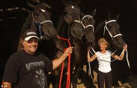 For more information on the pet fee, weight limit and other. Marian Thompson Exotic Animals Who Survived Ohio Massacre To Be Returned To Owner S Ex Wife Daily Mail Online