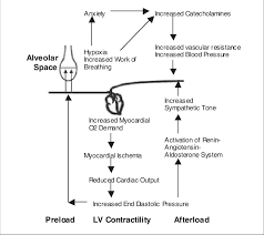 Pathophysiology Of Acute Cardiogenic Pulmonary Edema The