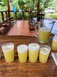 Costa Rican Lemonade Cocktail - Exploren Lauren