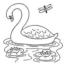 Discover the wonders of the likee. Sketsa Flora Dan Fauna Yang Mudah