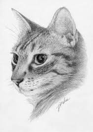 Learn how to draw a realistic cat! 92 Drawing Cat Fur Ideas In 2021 Animal Drawings Drawings Realistic Drawings