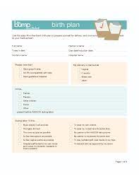 Sample Birth Plan Template Free Download