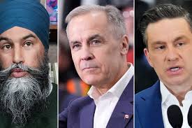 Ontario Liberals suspend Oshawa candidate over social media post