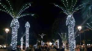 We did not find results for: Here S Why You Shouldn T Put Christmas Lights On Palm Trees Hilton Head Island Packet