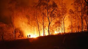 Un incendio forestal descontrolado puede arrasar todo a su paso, propagándose a gran distancia, sobrepasando ríos, carreteras y cortafuegos. Espana Registra Menos Incendios Forestales Rtve Es