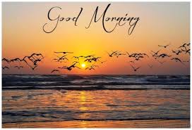 Check spelling or type a new query. 81 Good Morning Nature