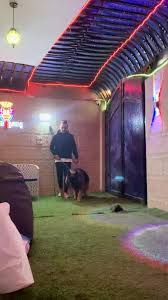 وفاء الكلب اعظم من بعض البشر🤷🏻💔#رضاالبحراوي #رضا_البحراوي #hoss_masr