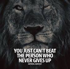 Inspirational Positive Quotes You Just Cant Beat The Person Who Never Gives Up Never Give Up Quotes Giving Up Quotes Up Quotes