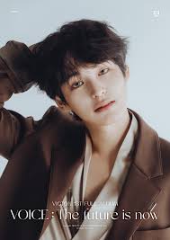 VICTON's Chan unveils dreamy teaser photos for the group's 1st full album  'Voice: The Future Is Now'