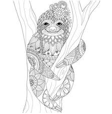 Van dieren tot frozen en van topmodel tot verjaardagskleurplaten.we hebben ze voor elk seizoen: Sloth Fur Malbuch Fur Erwachsene Lizenzfrei Nutzbare Vektorgrafiken Clip Arts Illustrationen Image 51326551