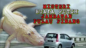 Pakar patologi jabatan perubatan forensik hospital pulau pinang (hpp), datuk dr bhupinder singh mengesahkan mangsa yang terbunuh di dalam insiden runtuh susur keluar jambatan kedua pulau pinang meninggal dunia akibat. Kisah Misteri Buaya Putih Di Jambatan Pulau Pinang Youtube