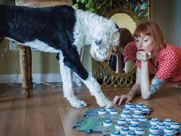 La 18enne è morta dopo in particolare la patologia riscontrata sarebbe la piastrinopenia autoimmune familiare. Bunny Il Cane Parlante E Una Star Su Tiktok Corriere It