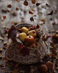 Pin By Nancy Jones On Sister Missionary Pictures Autumn Inspiration Autumn Aesthetic Fall Apples